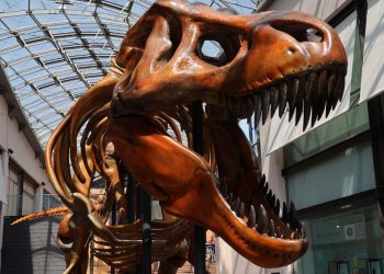 Chicxulub-Einschlag: Globale Staubglocke löste verheerendes Inferno aus