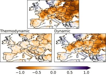 Dürre in Europa: Forscher sehen Hitze und Wetterlagen als Hauptursachen