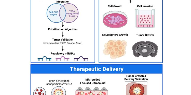 Neue Strategien im Kampf gegen krebstherapeutische Resistenzen