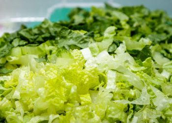 Parasiten-Ausbruch in den USA: Taco Bell entfernt Salat