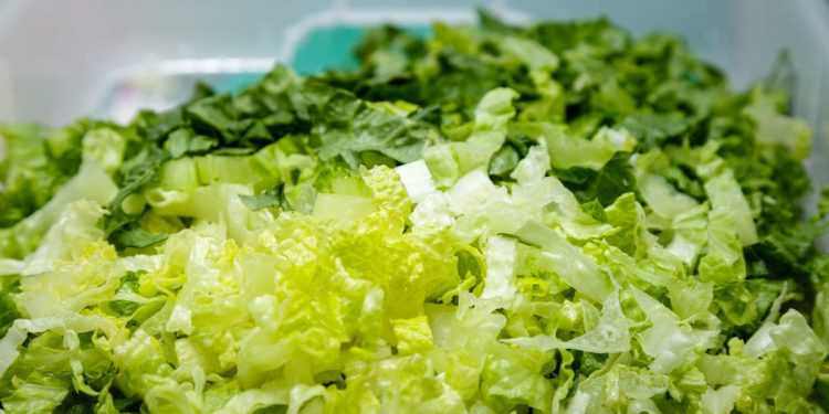 Parasiten-Ausbruch in den USA: Taco Bell entfernt Salat