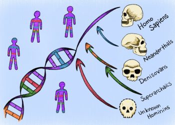 UC Berkeley entdeckt Spuren unbekannter Urmenschen im menschlichen Genom