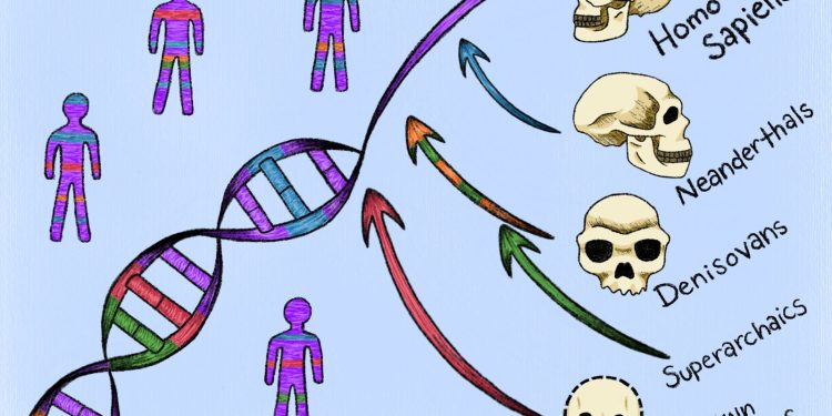UC Berkeley entdeckt Spuren unbekannter Urmenschen im menschlichen Genom