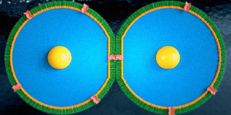 US-Forscher entdecken Gedächtnisfunktionen in künstlichen Zellmembranen