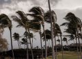 Hurrikan „Lala“ trifft Hawaii mit Sturm und Starkregen