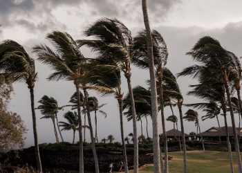 Hurrikan „Lala“ trifft Hawaii mit Sturm und Starkregen