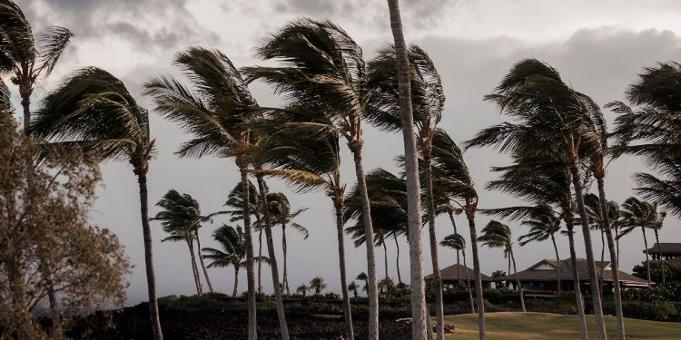 Hurrikan „Lala“ trifft Hawaii mit Sturm und Starkregen