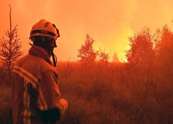 PIK-Studie: Waldbrandflächen in Europa könnten sich drastisch ausweiten