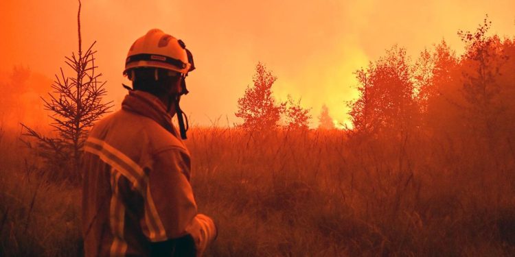 PIK-Studie: Waldbrandflächen in Europa könnten sich drastisch ausweiten
