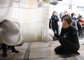 Vier weitere Belugas im Shedd Aquarium in Chicago eingetroffen